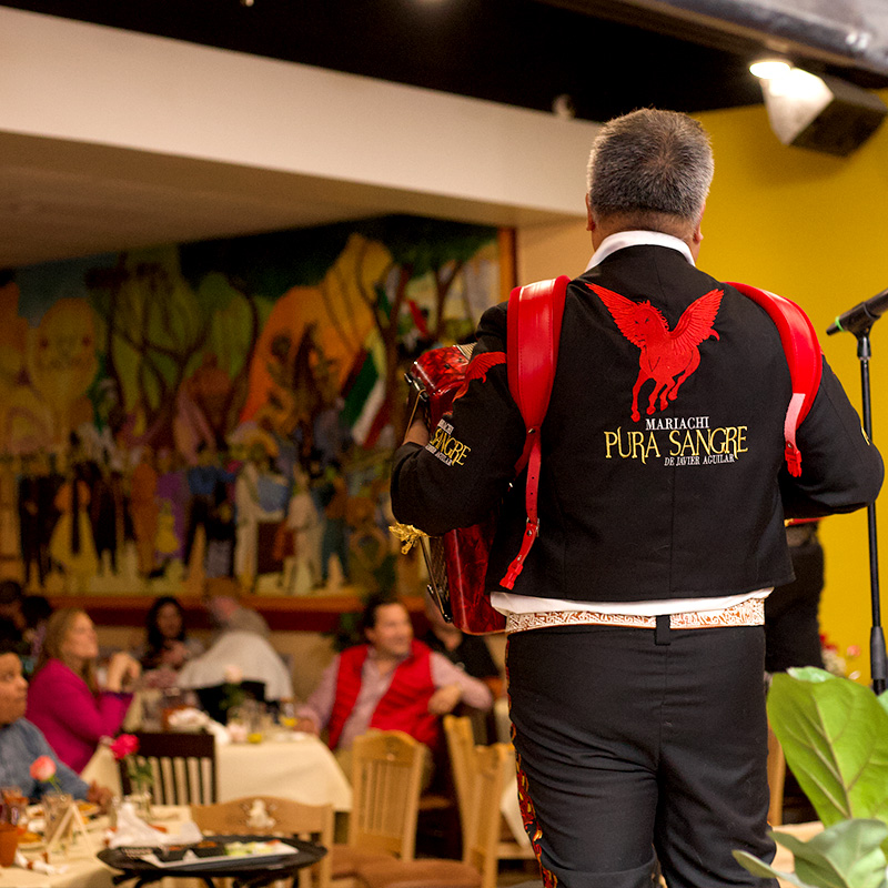 Mariachi Pura Sangre