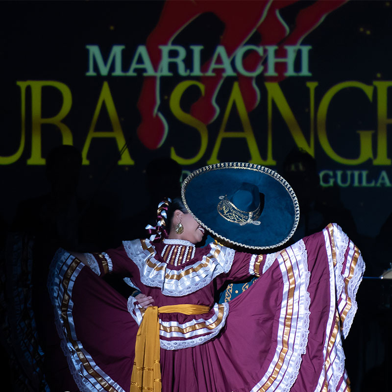 Mariachi Pura Sangre