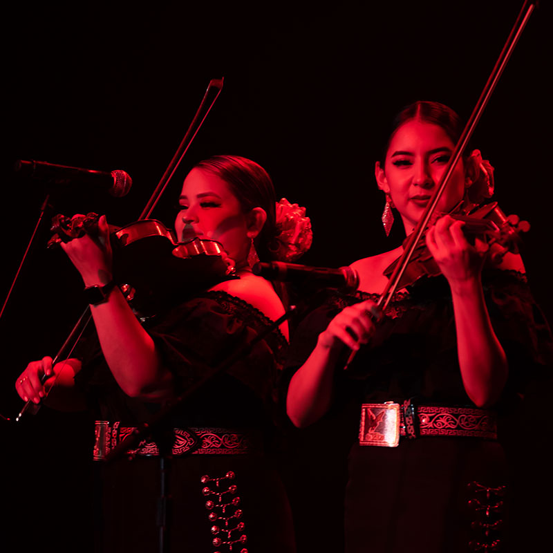 Mariachi Pura Sangre